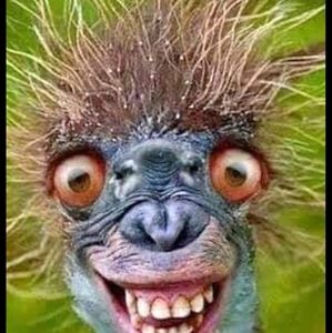 Meet your Posher, Tracy-lee